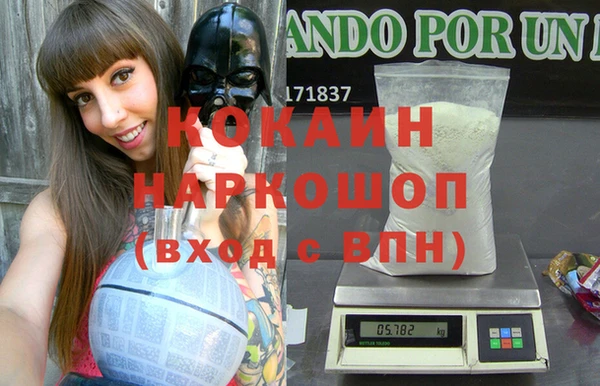 крисы Алексин