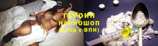 прущие грибы Алзамай
