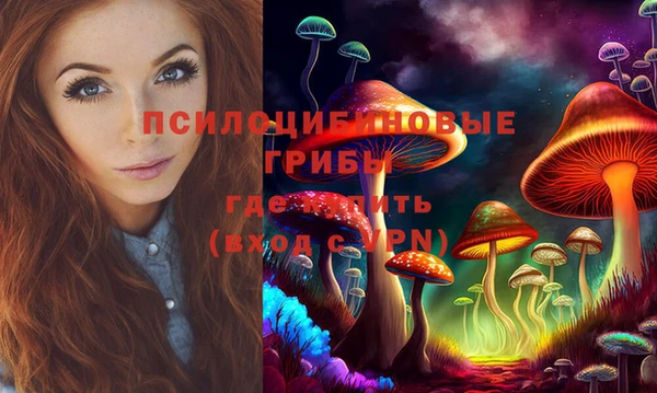 крисы Алексин