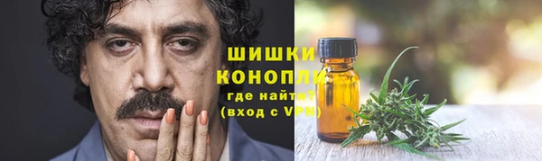 прущие грибы Алзамай