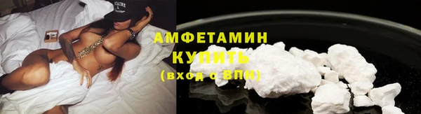 прущие грибы Дмитриев