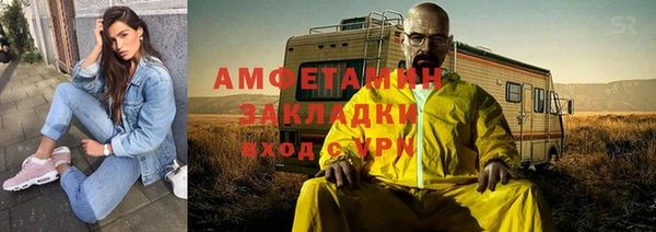 прущие грибы Алзамай