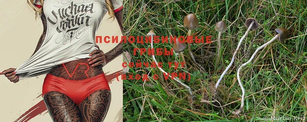 крисы Алексин